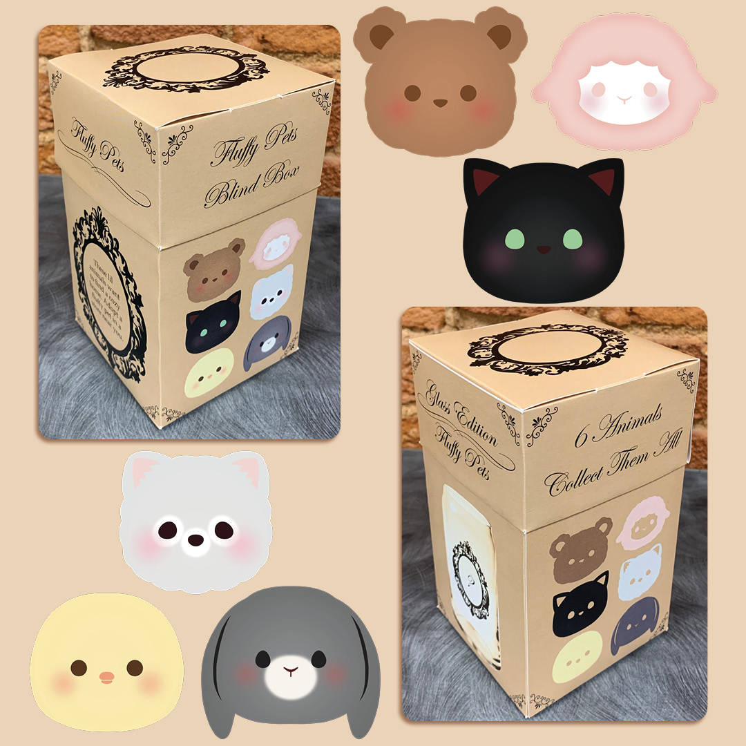 Package Design Project