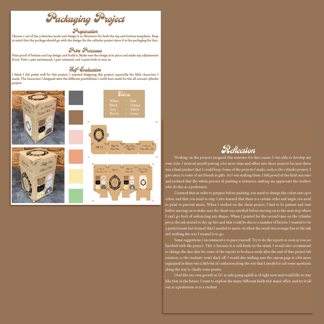 Packaging Project and reflection